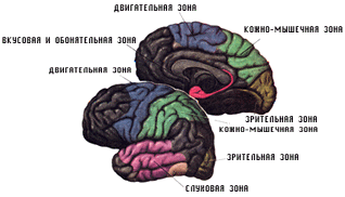 ���� ��������� �����